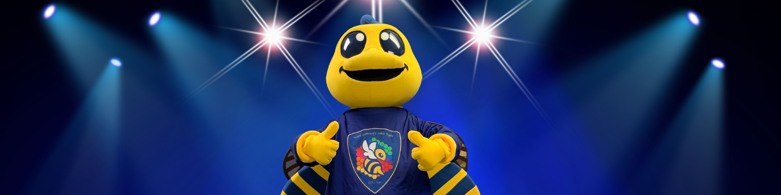 Buzzy the bee - The School Mascot